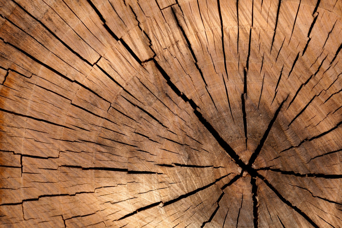 wood-nature-pattern-texture-40973