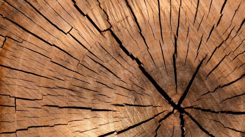 wood-nature-pattern-texture-40973